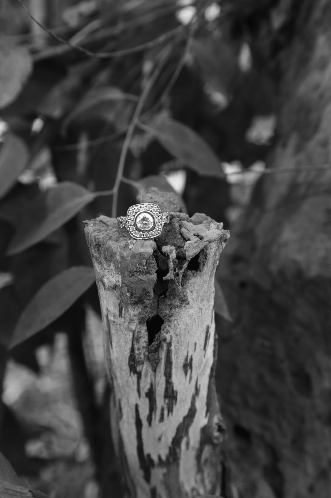 Erickson Bruilof 19 Nov 2022