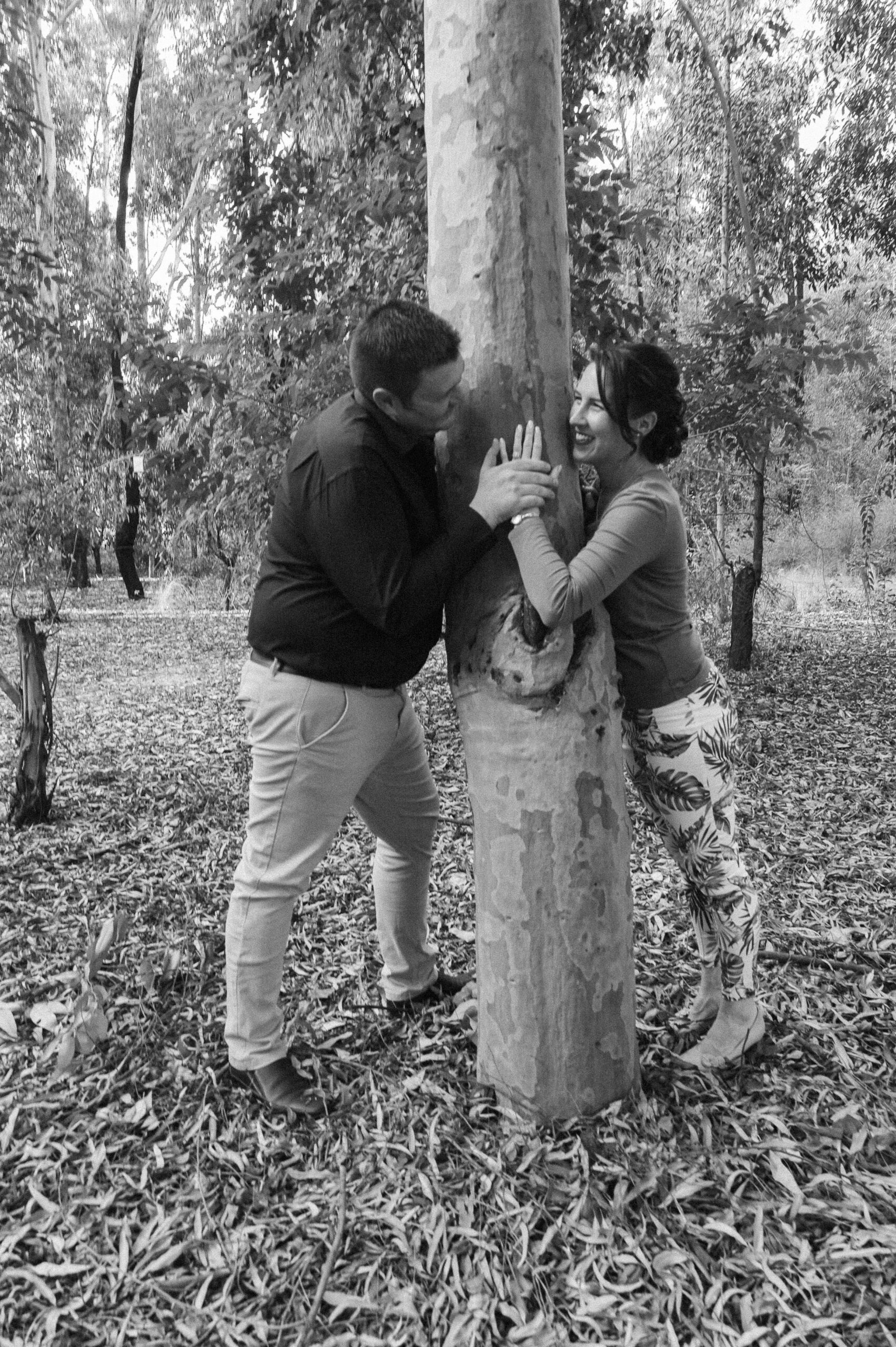 Erickson Bruilof 19 Nov 2022